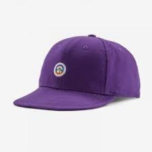 Patagonia Purple Hat